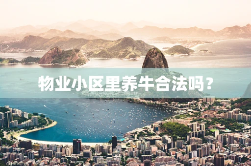 物业小区里养牛合法吗？