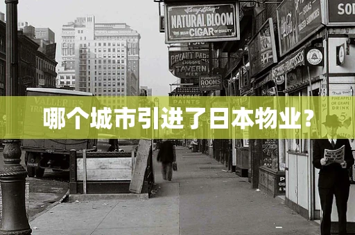 哪个城市引进了日本物业？