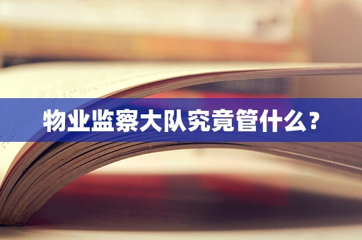物业监察大队究竟管什么？