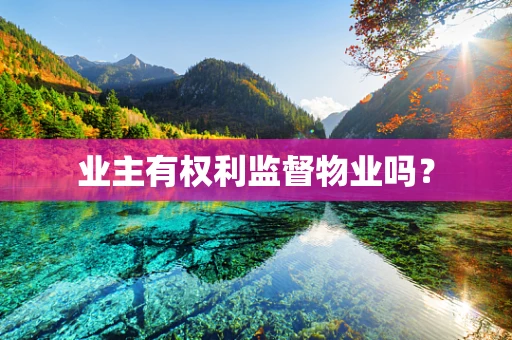 业主有权利监督物业吗？