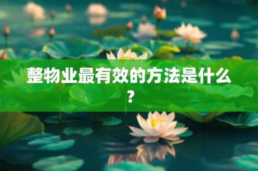 整物业最有效的方法是什么？