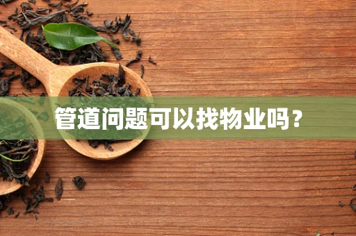 管道问题可以找物业吗？