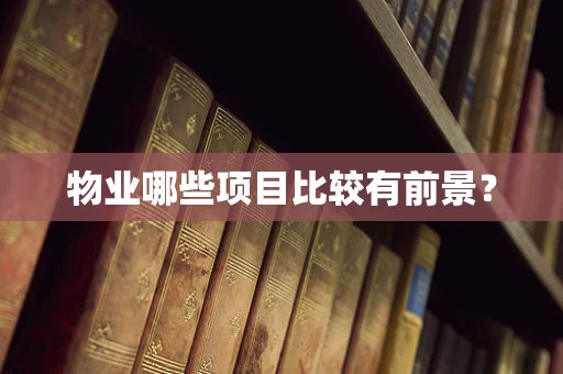 物业哪些项目比较有前景？