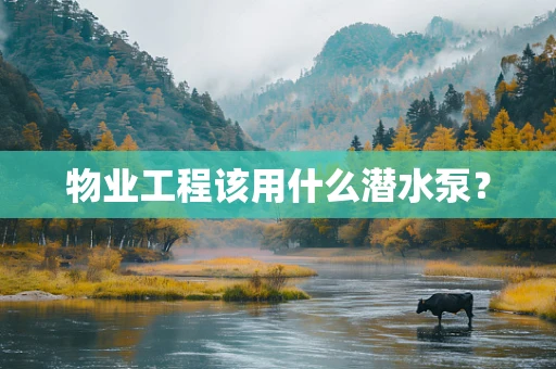 物业工程该用什么潜水泵？