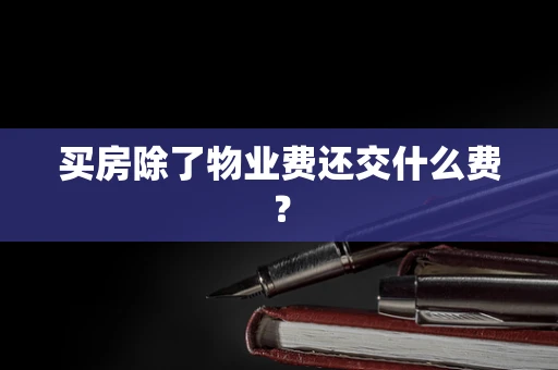买房除了物业费还交什么费？
