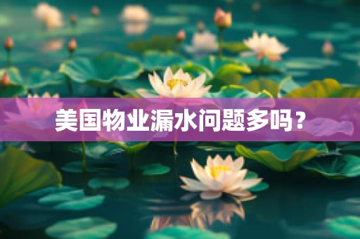 美国物业漏水问题多吗？