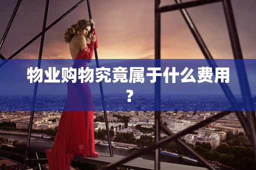 物业购物究竟属于什么费用？