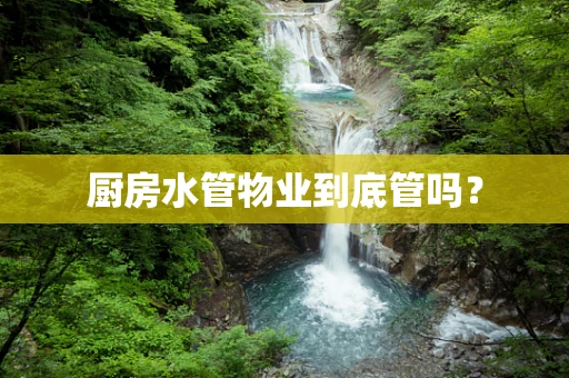 厨房水管物业到底管吗？