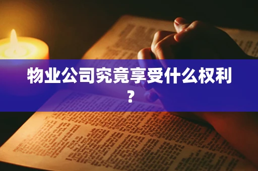 物业公司究竟享受什么权利？