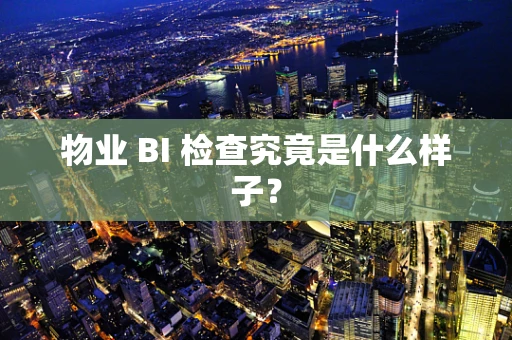 物业 BI 检查究竟是什么样子？