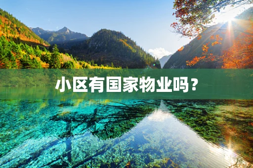 小区有国家物业吗？