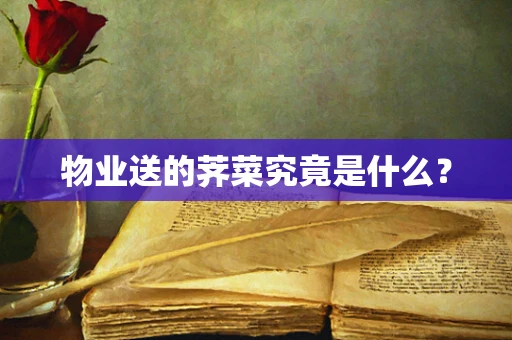 物业送的荠菜究竟是什么？