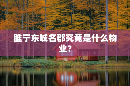 睢宁东城名郡究竟是什么物业？