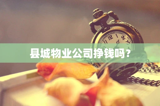县城物业公司挣钱吗？