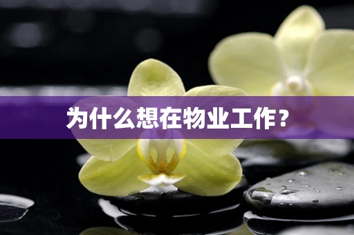为什么想在物业工作？