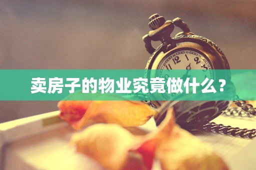 卖房子的物业究竟做什么？