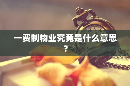 一费制物业究竟是什么意思？