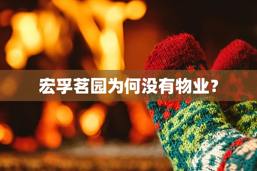 宏孚茗园为何没有物业？