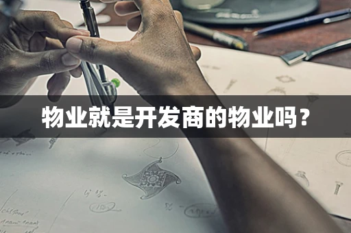 物业就是开发商的物业吗？