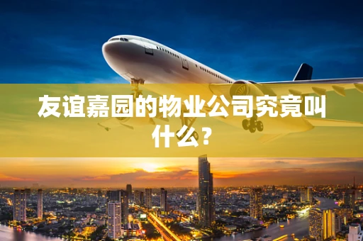 友谊嘉园的物业公司究竟叫什么？