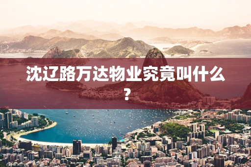 沈辽路万达物业究竟叫什么？