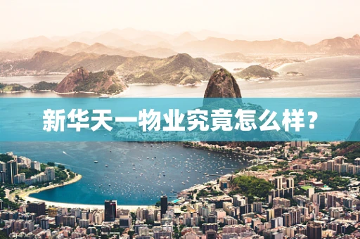 新华天一物业究竟怎么样？