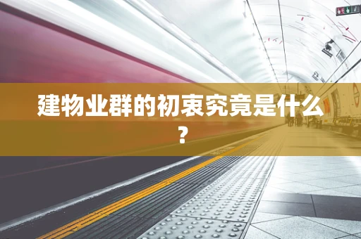 建物业群的初衷究竟是什么？