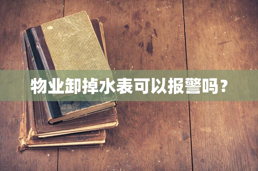 物业卸掉水表可以报警吗？