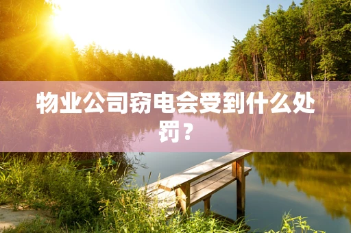 物业公司窃电会受到什么处罚？