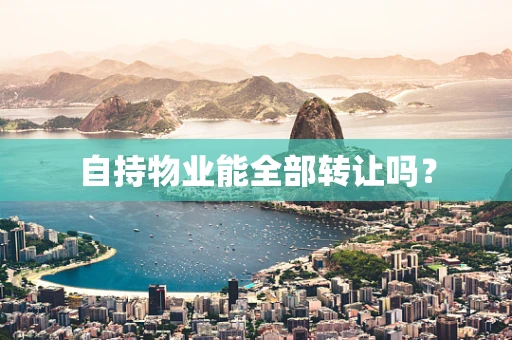 自持物业能全部转让吗？