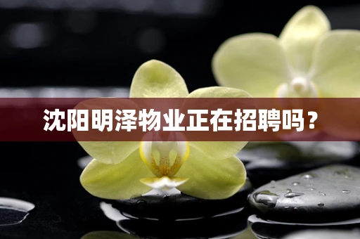 沈阳明泽物业正在招聘吗？