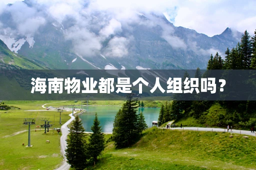 海南物业都是个人组织吗？