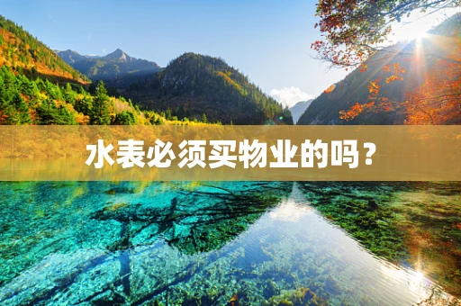 水表必须买物业的吗？