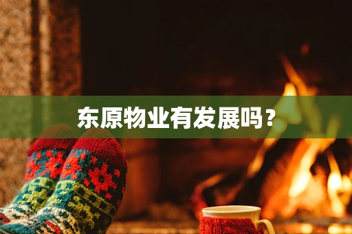 东原物业有发展吗？