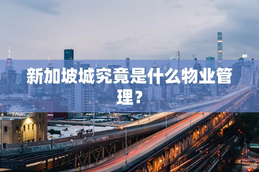 新加坡城究竟是什么物业管理？