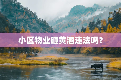 小区物业砸黄酒违法吗？