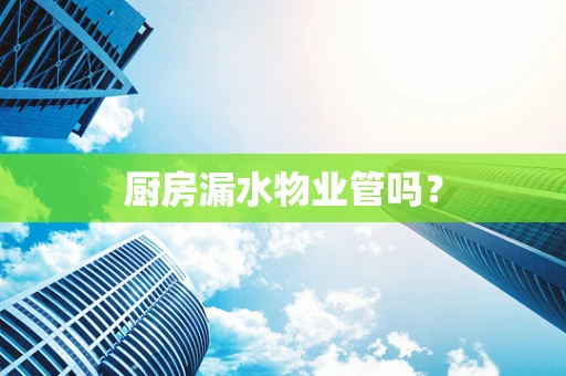 厨房漏水物业管吗？