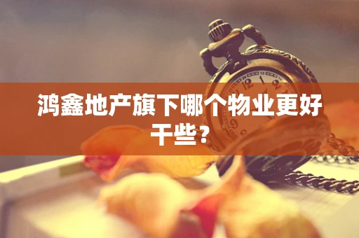 鸿鑫地产旗下哪个物业更好干些？