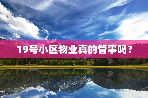 19号小区物业真的管事吗？