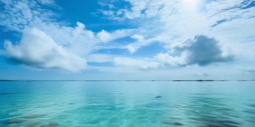 湛江港务局物业究竟叫什么？