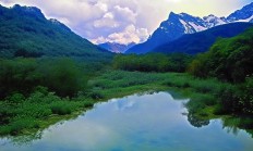 皖源首府的物业公司究竟叫什么？