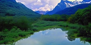 皖源首府的物业公司究竟叫什么？