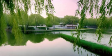 水岸东里有物业吗？