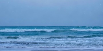 海雨尊寓物业究竟能做什么？